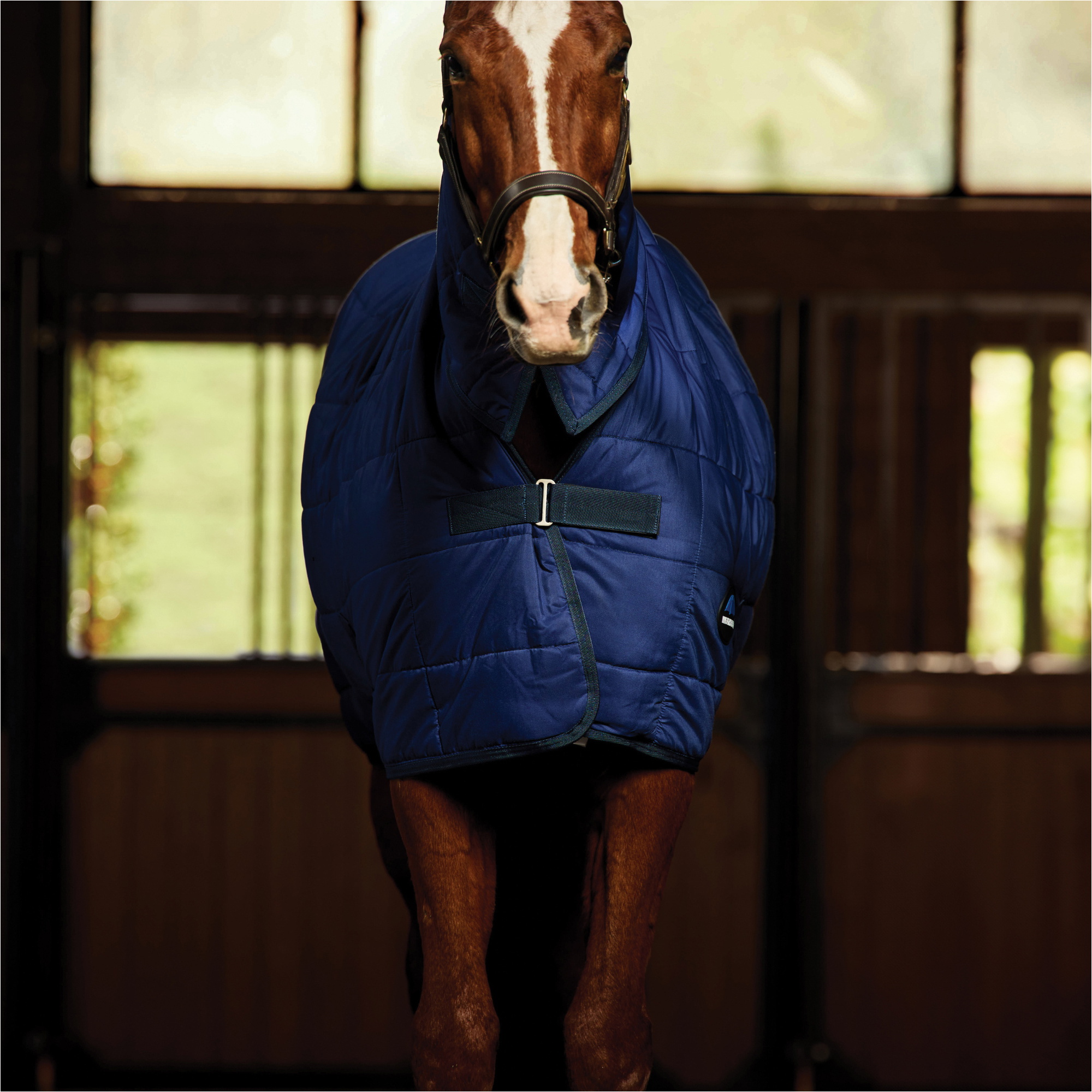 2025 WeatherBeeta Comfitec Under Rug Combo Neck 220G 1028797 - Navy